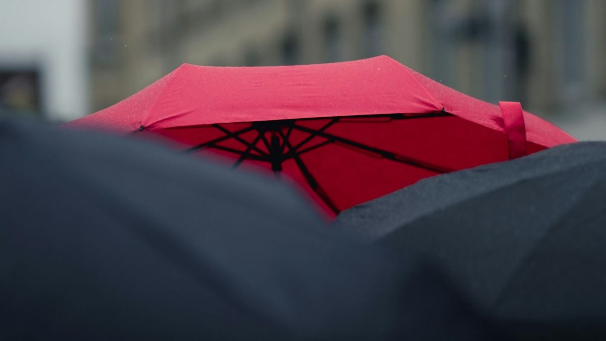 Una foto de un paraguas rojo en medio de varios paraguas negros